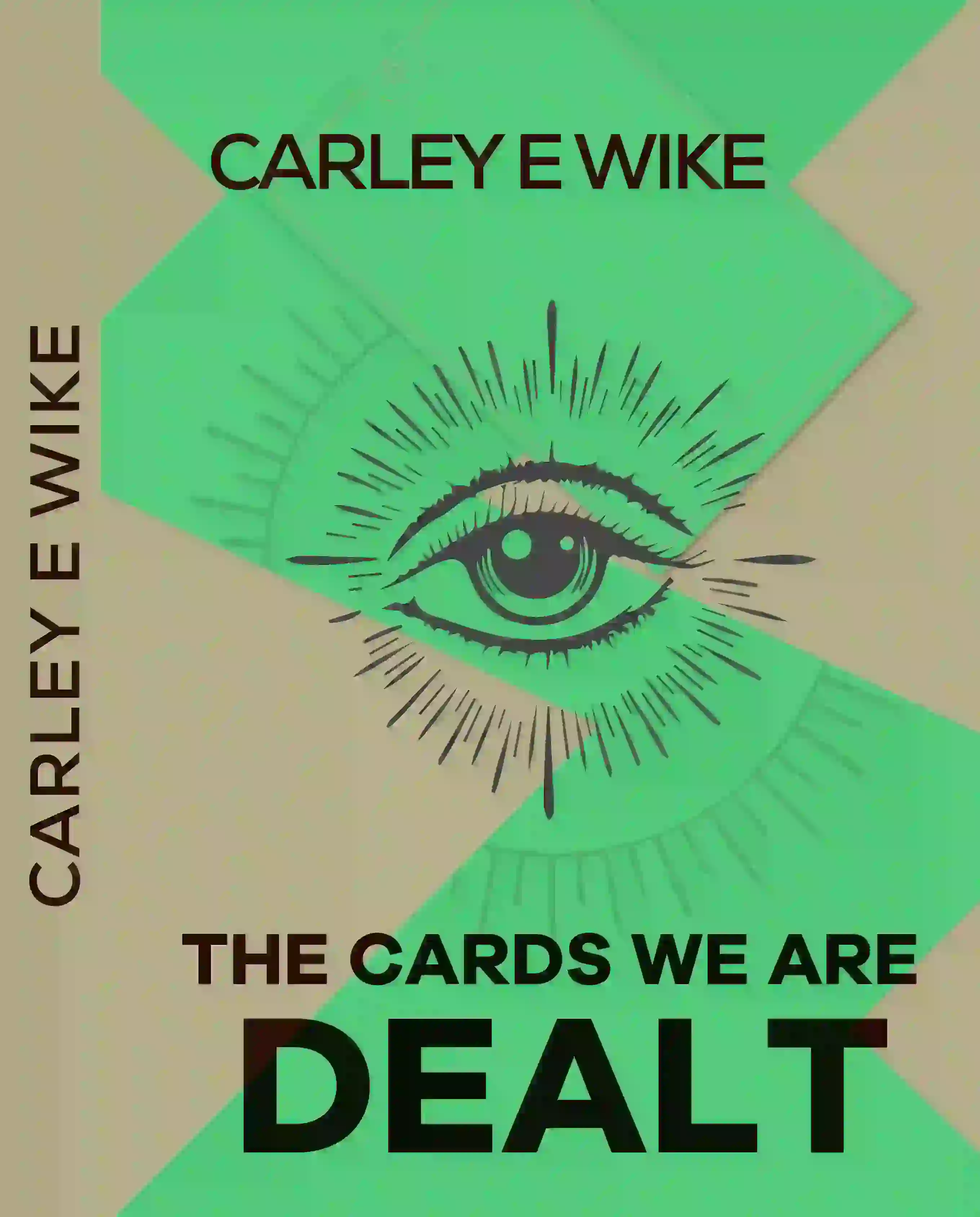 Book cover designed and published by Lincoln eBook Publishers