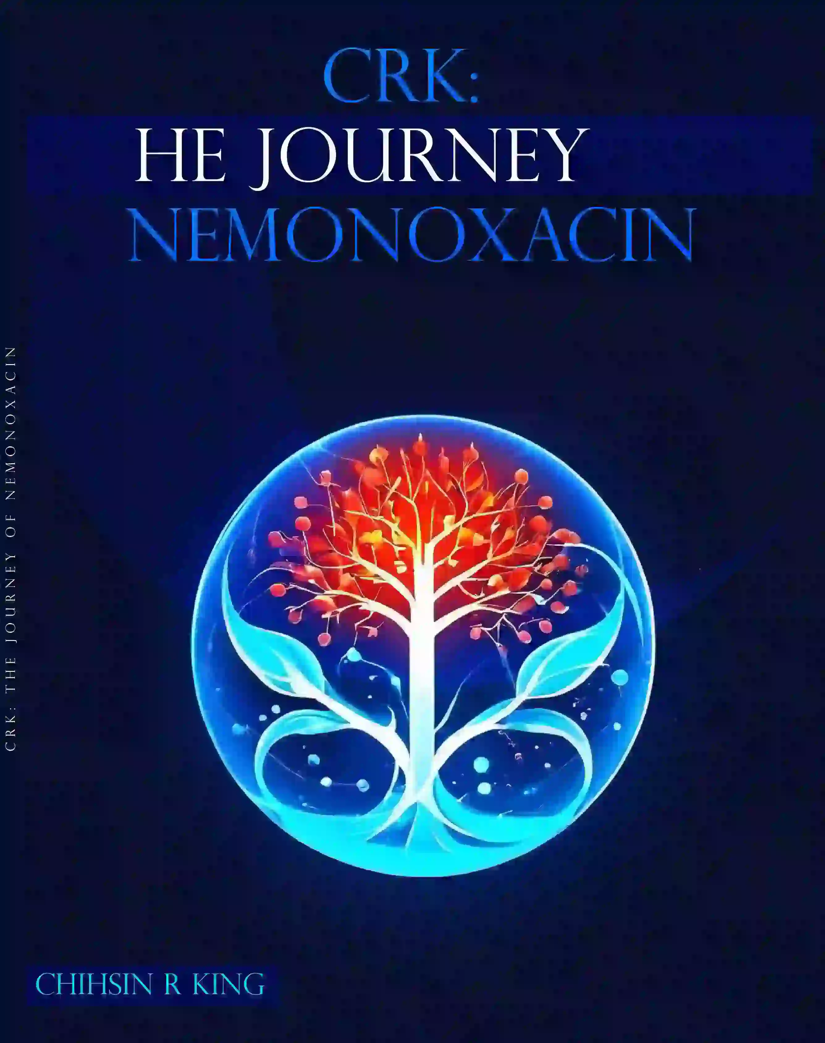 Book cover designed and published by Lincoln eBook Publishers