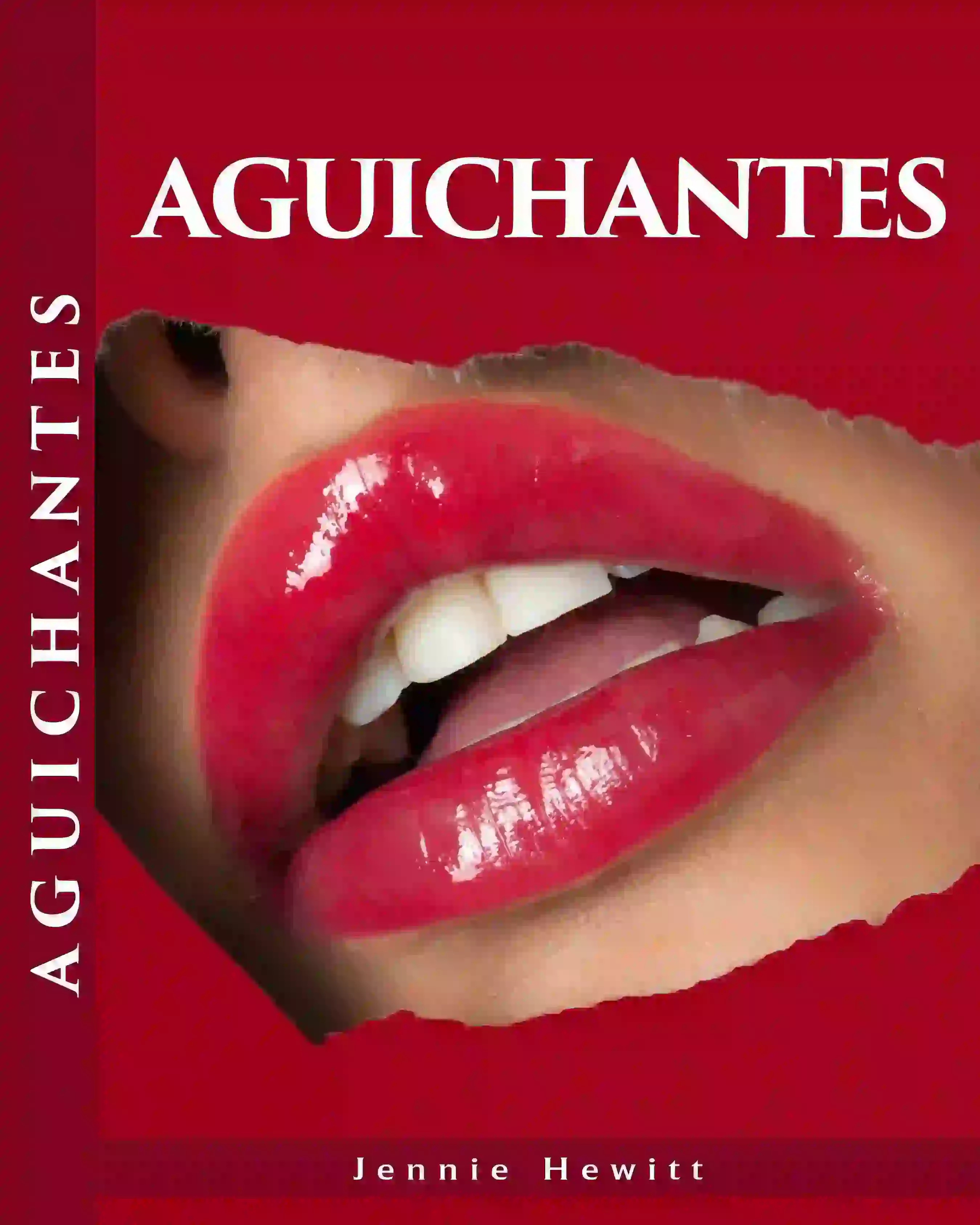 Book cover designed and published by Lincoln eBook Publishers